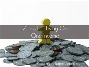 7 Tips For Living On One Income2