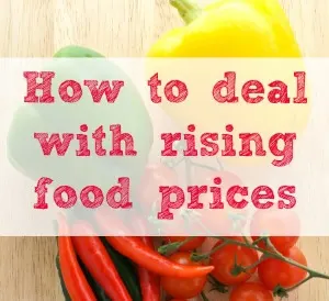 How-to-deal-with-rising-food-prices