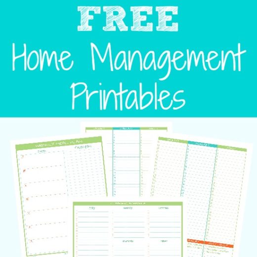 free-home-management-printables-2-the-latina-homemaker