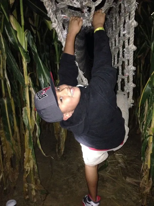Cherry-Crest-Adventure-Farm