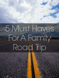 5 Must Haves For A Family Road Trip-Taking a road trip? Don't forget the essentials! Here's a list of 5 things you must have for your next family road trip.