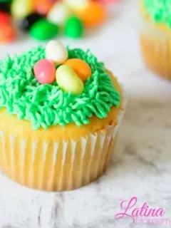 Easy Easter Egg Cupcakes. An easy and simple tutorial that will show you how to create Easter Egg Cupcakes that will impress your family and friends!