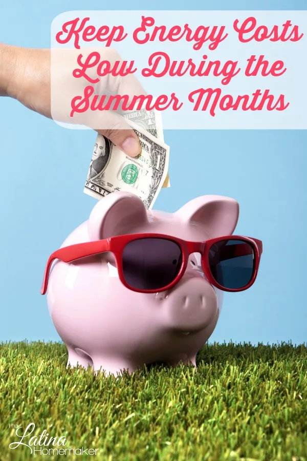 5 Ways to Keep Energy Costs Low During the Summer Months – Five simple tips that can help you keep your energy costs low during the hot summer months without sacrificing comfort.