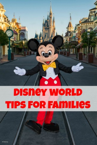 Disney-World-Tips-For-Families-Post