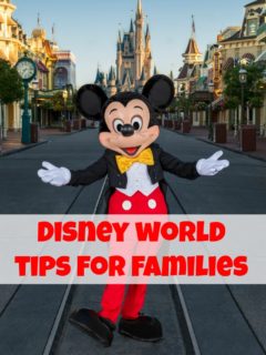 Disney World Tips For Families-Are you planning a trip to Disney? Here's a list of tips and tricks for you and your family's next visit to Disney World!